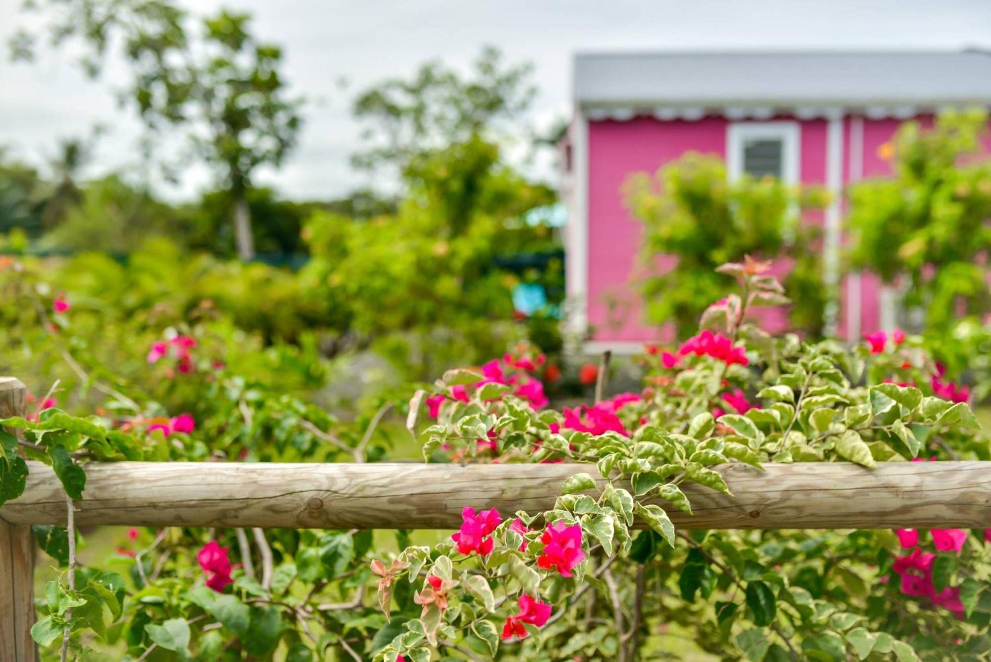 Les Jardins De Chantilly -Bungalows 4 Etoiles Avec Jardins Et Piscines Privees Baie-Mahault Bilik gambar